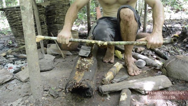 Foto - Ormanda ilginç bir deneyim