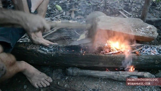 Foto - Ormanda ilginç bir deneyim