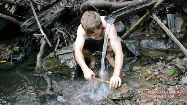 Foto - Ormanda ilginç bir deneyim