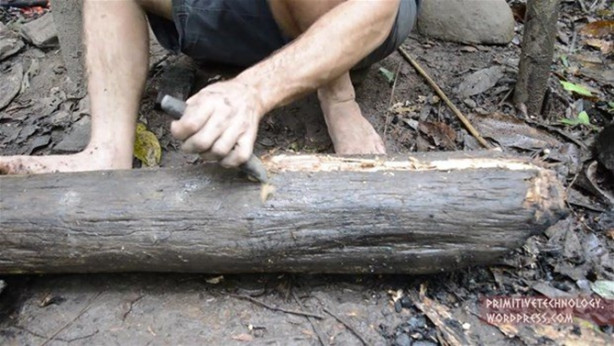 Foto - Ormanda ilginç bir deneyim