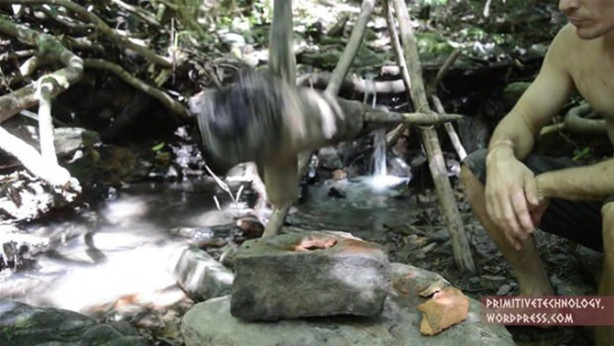 Foto - Ormanda ilginç bir deneyim