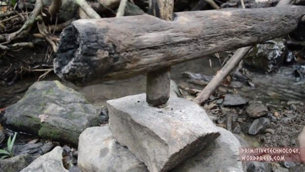 Foto - Ormanda ilginç bir deneyim