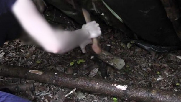 Foto - Ormanda nasıl kulübe yapılır? İşte cevabı...