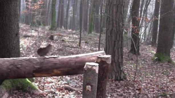 Foto - Ormanda nasıl kulübe yapılır? İşte cevabı...
