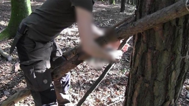 Foto - Ormanda nasıl kulübe yapılır? İşte cevabı...