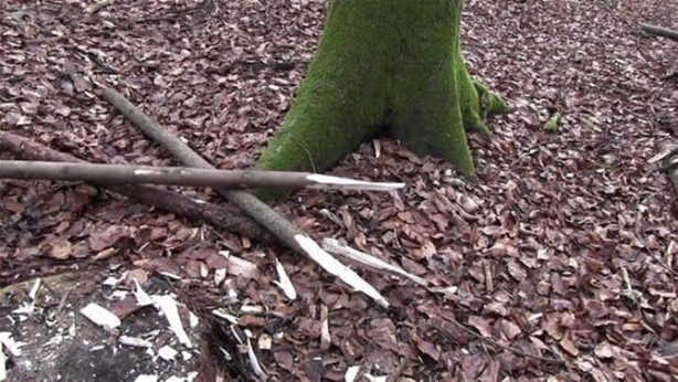 Foto - Ormanda nasıl kulübe yapılır? İşte cevabı...