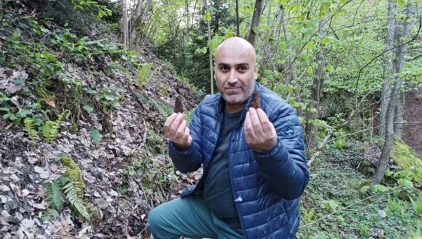 Foto - Ormanda toplayıp tonla para kazanıyor! Kilosu 2 bin 500 TL