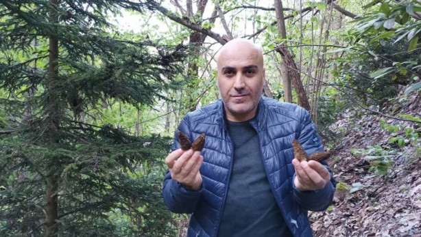 Foto - Ormanda toplayıp tonla para kazanıyor! Kilosu 2 bin 500 TL