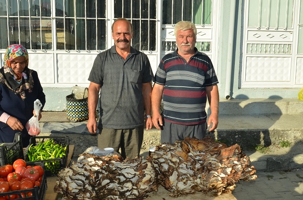 Foto - Ormanda yürürken buldu! Kilo kilo satmaya başladı