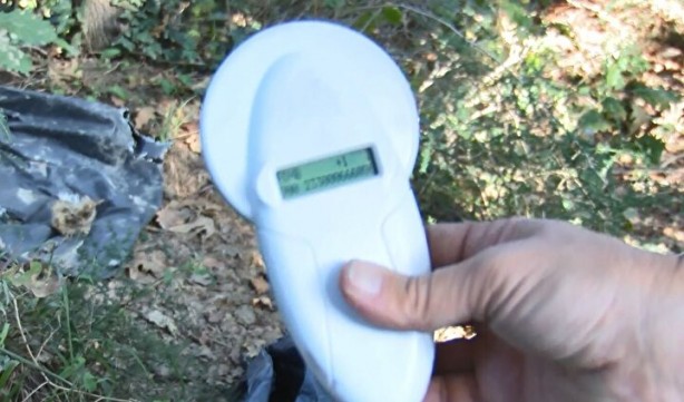 Foto - Ormandaki çöp poşetinden vahşet çıktı