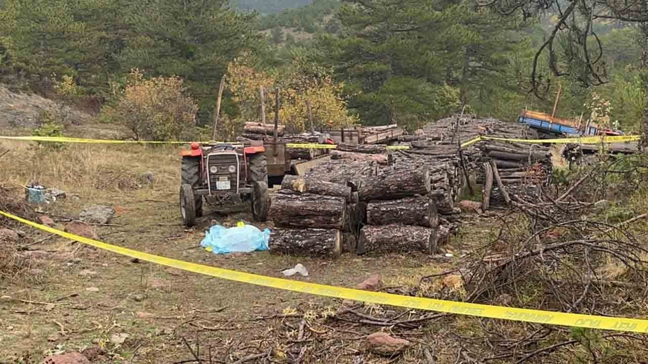 Ormandaki tartışma kanlı bitti: Birlikte odun topladığı imamı odunla öldürdü
