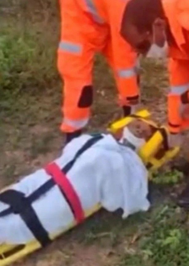 Foto - Ormandan gelen çığlıklar ekipleri harekete geçirdi! Şok oldular