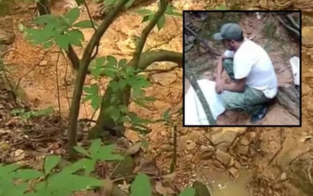 Ormandan gelen çığlıklar ekipleri harekete geçirdi! Şok oldular