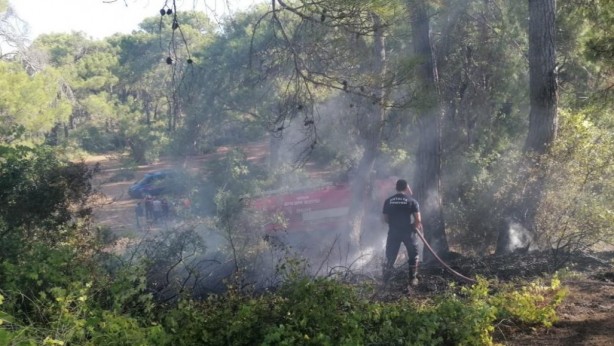 Foto - Ormanı 3 yerden yaktı, dördüncüyü yakarken yakalandı