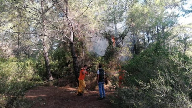Foto - Ormanı 3 yerden yaktı, dördüncüyü yakarken yakalandı