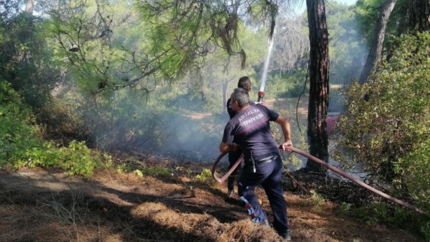 Ormanı 3 yerden yaktı, dördüncüyü yakarken yakalandı