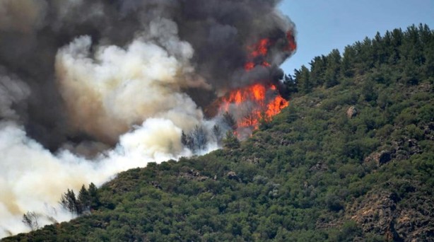 Foto - Ormanı yakmadan önce… Marmaris'teki şerefsizle ilgili yeni gelişme