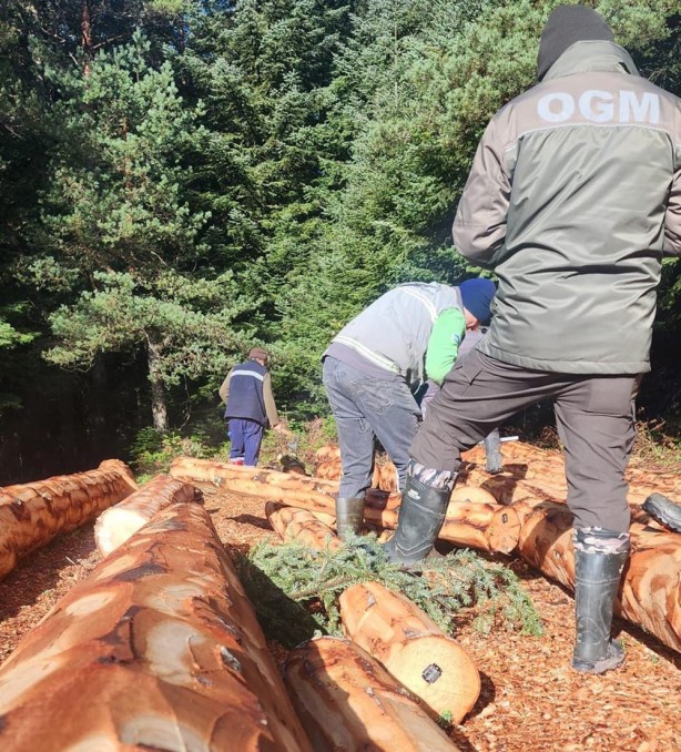 Foto - Ormanlarda yeni sisteme geçildi! İlk Bolu’da start verildi!