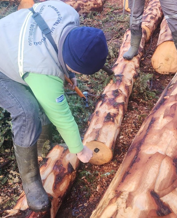 Foto - Ormanlarda yeni sisteme geçildi! İlk Bolu’da start verildi!