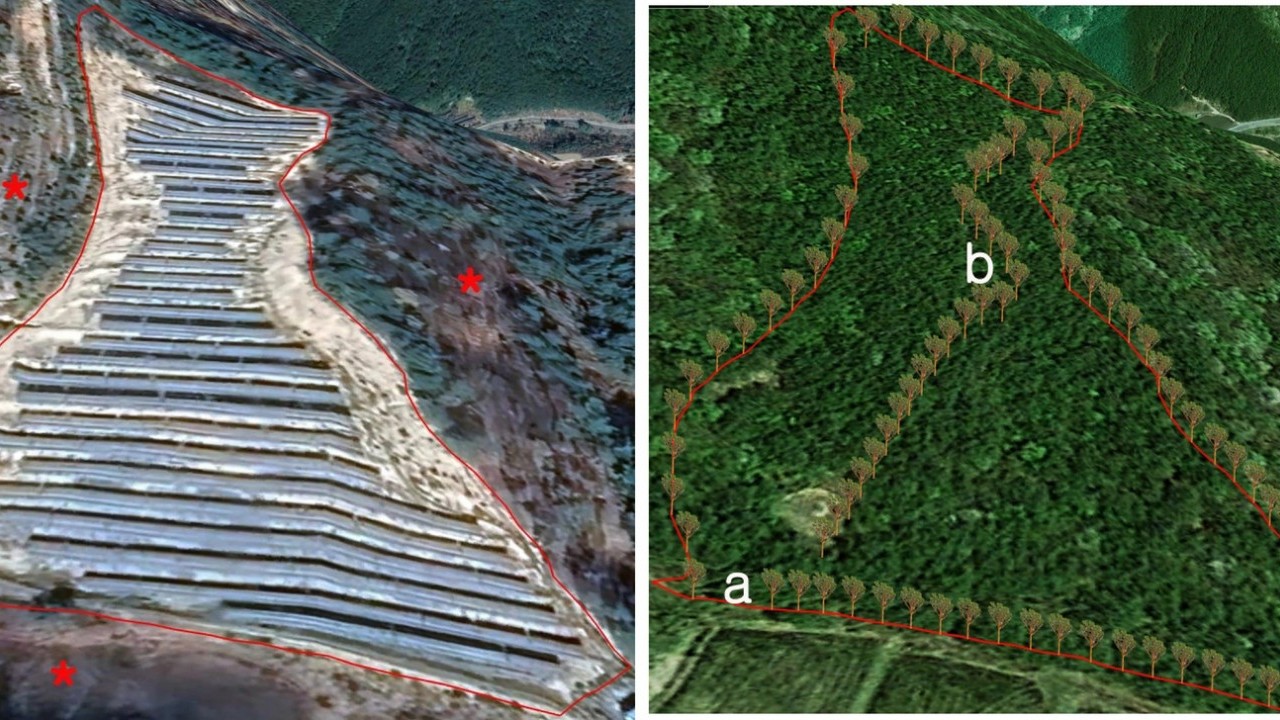 Foto - Ormanları korumak için çözüm! Şehirlere 'Güneş Ağacı' geliyor