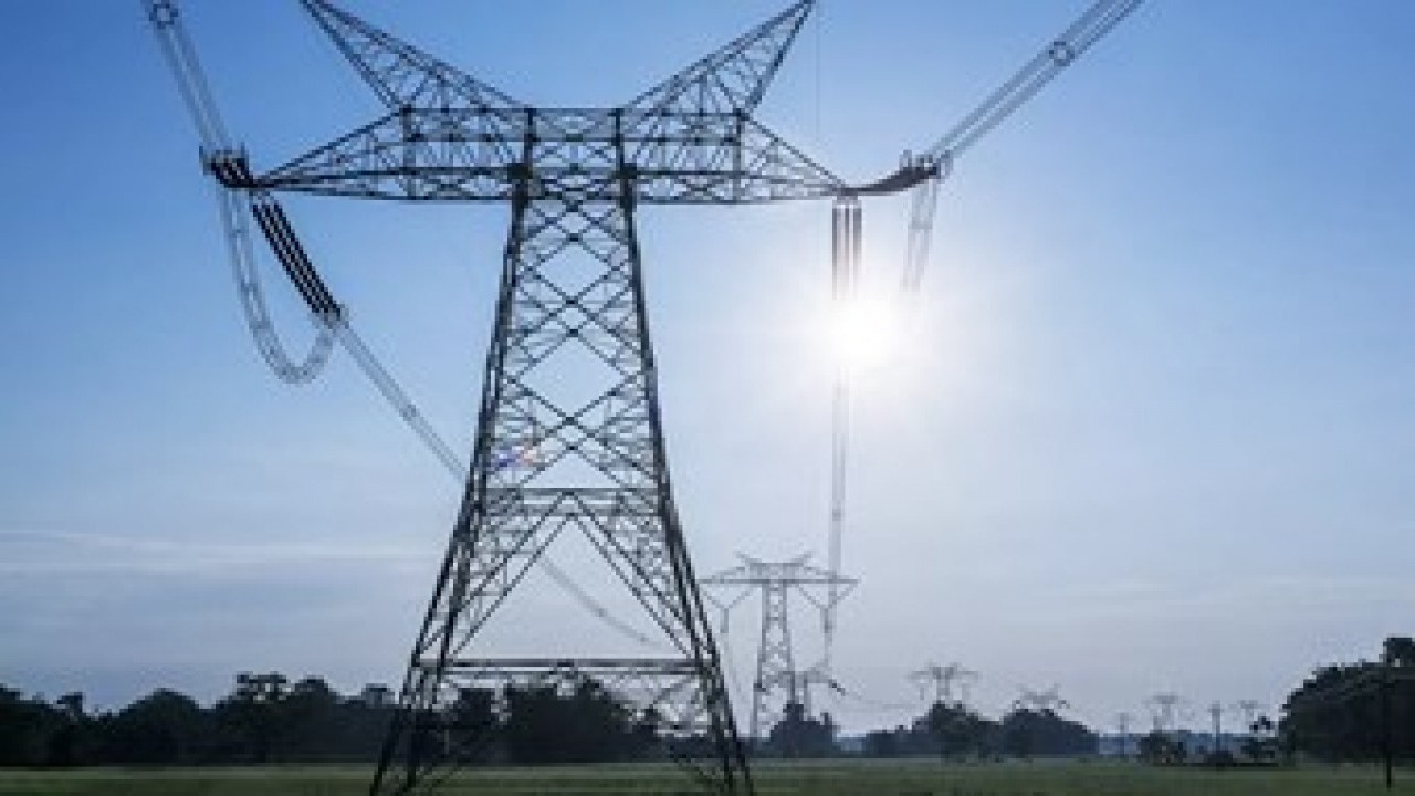 Foto - Ormanları korumak için çözüm! Şehirlere 'Güneş Ağacı' geliyor