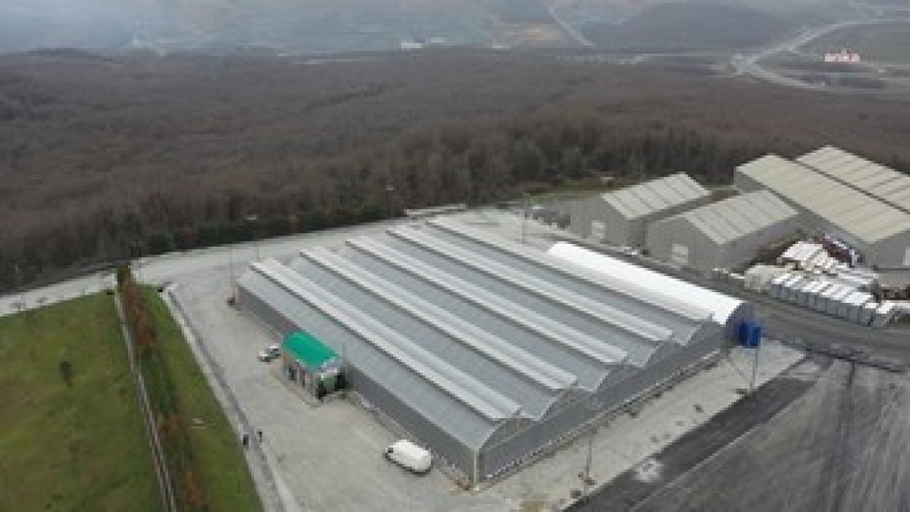 Foto - Ormanları korumak için çözüm! Şehirlere 'Güneş Ağacı' geliyor