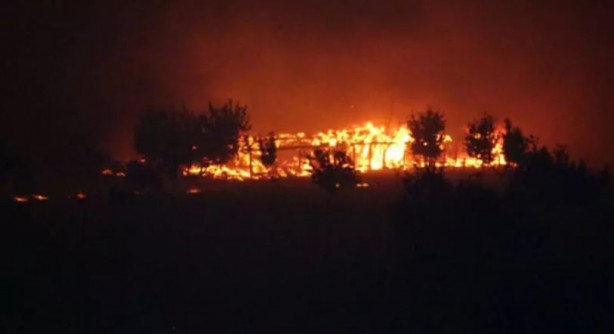 Foto - Ormanlarımız alevler içinde kaldı