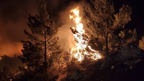 Foto - Ormanlarımız alevler içinde kaldı