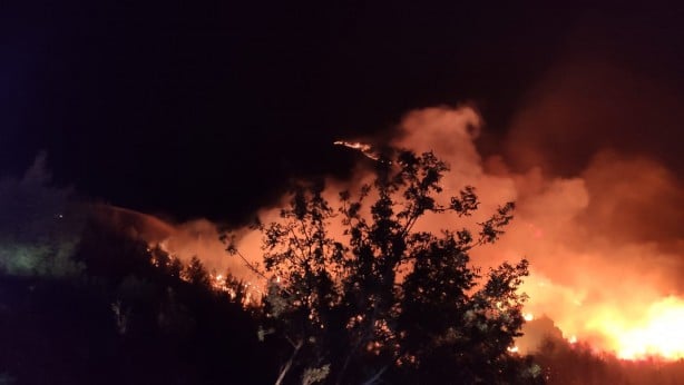 Foto - Ormanlarımız alevler içinde kaldı