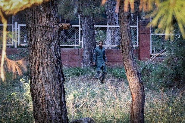 Foto - Ormanlık alanda bulunan çıplak cesedin kafası ve kolları aranıyor!