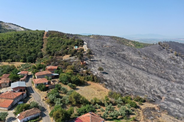Foto - Ormanlık alanda çıkan yangın kontrol altına alındı! Hasar tespit çalışmaları sürüyor