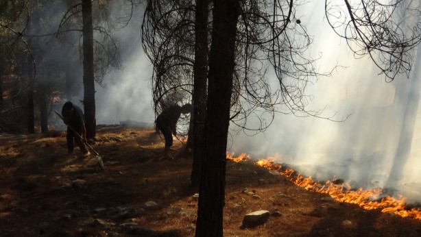 Foto - Ormanlık alanda korkutan yangın! Ekipler sevk edildi
