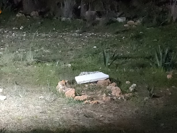 Foto - Ormanlık alandaki gizemli mezar ekipleri alarma geçirdi! 