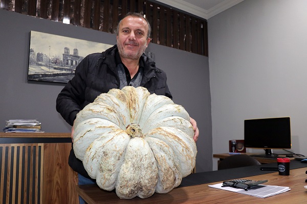 Foto - Örnek olmak için tarlasına kabak ekti 200 bin lira kazandı