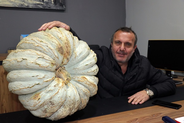 Örnek olmak için tarlasına kabak ekti 200 bin lira kazandı