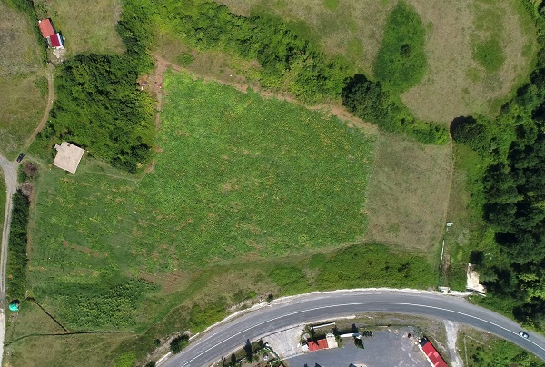 Foto - Örnek olmak için tarlasına kabak ekti 200 bin lira kazandı