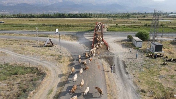 Foto - Örnek olmalı... Erzincan'a kurulan Türkiye'nin ilk ekolojik üst geçidi 
