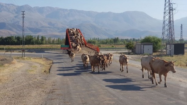 Foto - Örnek olmalı... Erzincan'a kurulan Türkiye'nin ilk ekolojik üst geçidi 