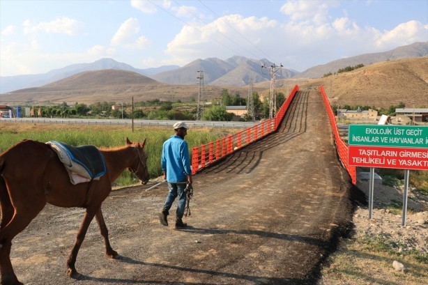 Foto - Örnek olmalı... Erzincan'a kurulan Türkiye'nin ilk ekolojik üst geçidi 