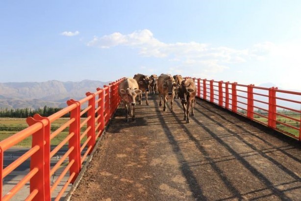 Foto - Örnek olmalı... Erzincan'a kurulan Türkiye'nin ilk ekolojik üst geçidi 