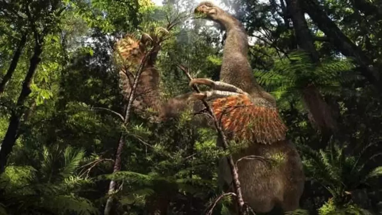 Foto - Orta Asya’da keşfedildi! Yeni dinozor türü bilim dünyasını şaşırttı 