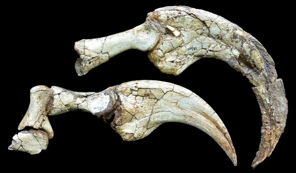 Foto - Orta Asya’da keşfedildi! Yeni dinozor türü bilim dünyasını şaşırttı 