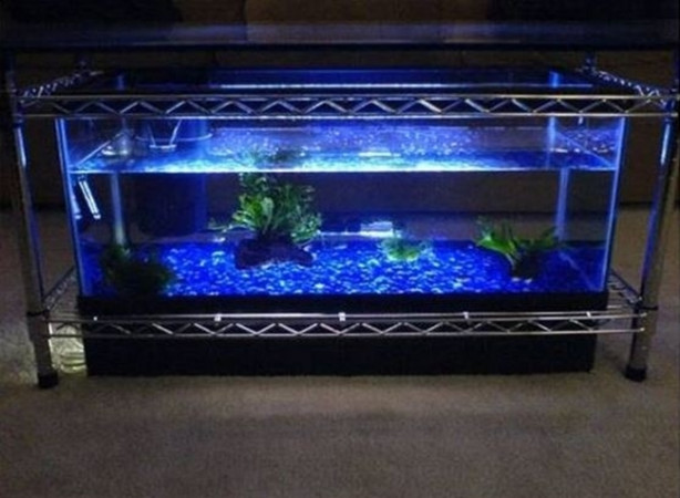 Foto - Orta sehpalarda yeni moda