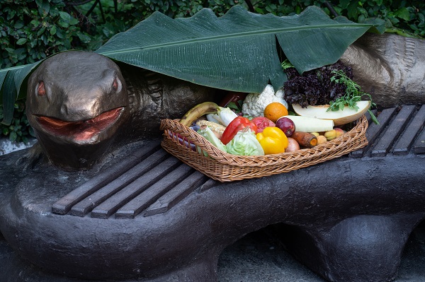 Foto - Ortalama ömrü geçti! Bu goril tam 50 yaşında