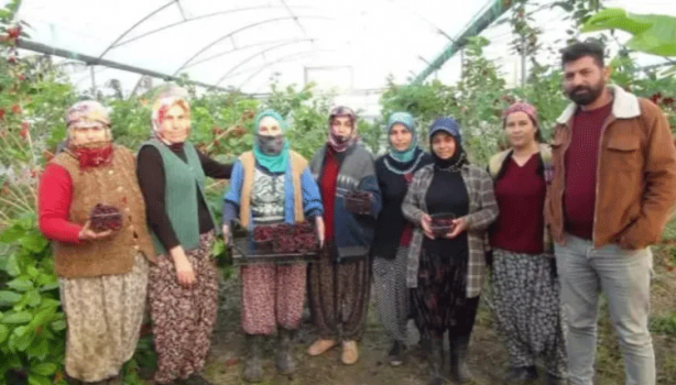 Foto - Örtü altında sadece su veriliyor! Kilosu 110 TL'yi buluyor