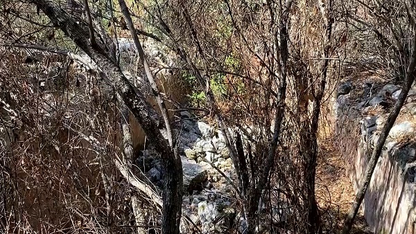 Foto - Oruç Reis'in hikayesinin başladığı ada! 1743 depreminde 3’te 1’lik bölümü sular altında kaldı