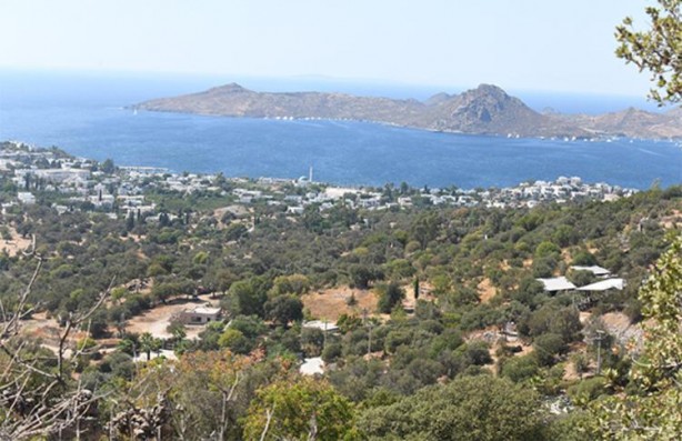 Foto - Osman Bey'den Akça Hatun açıklaması
