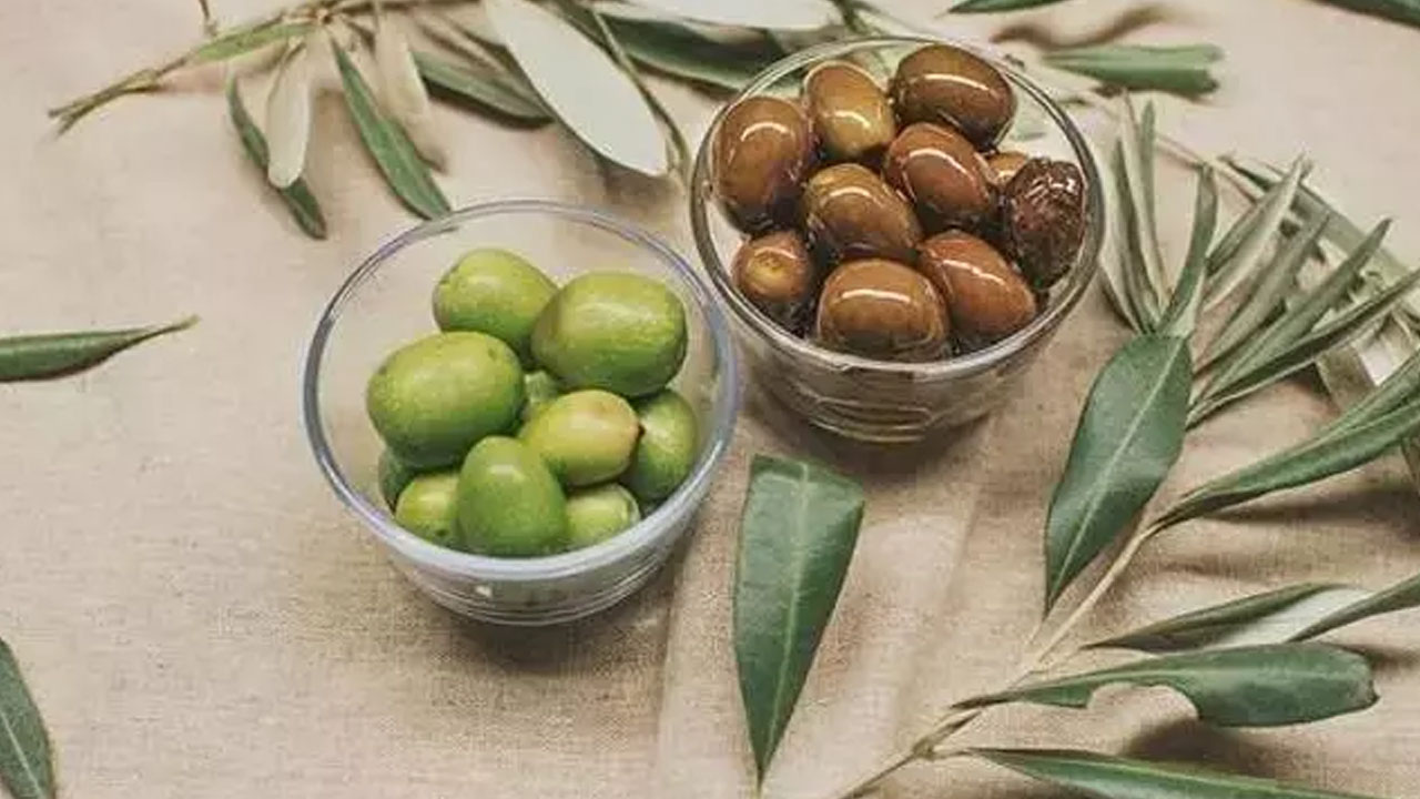 Foto - Osman Müftüoğlu herkesin merak ettiği soruyu yanıtladı: Siyah zeytin mi faydalı yeşil zeytin mi?