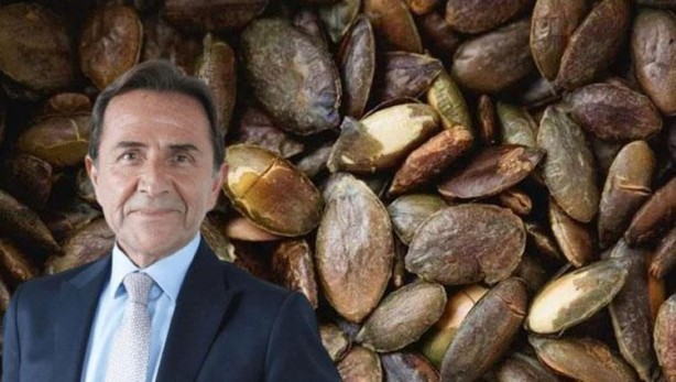 Osman Müftüoğlu öneriyor! Kabuklarıyla yiyin, demiri zirve yaptırıyor!
