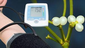 Foto - Osman Müftüoğlu'nun 'En marifetli' dediği vitamin! Çok etkili, eksikliği vücudu bitiriyor